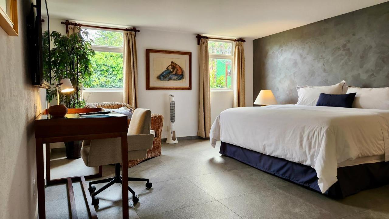 Casa Tamayo Mexikóváros Kültér fotó