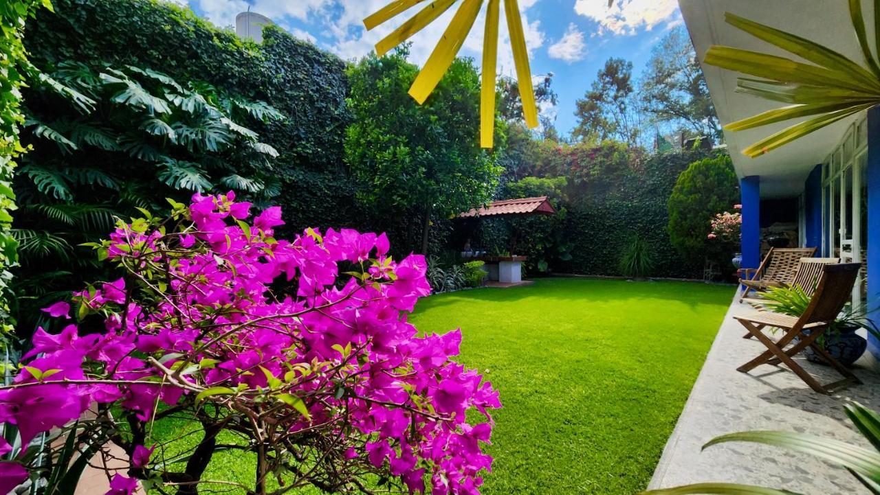 Casa Tamayo Mexikóváros Kültér fotó