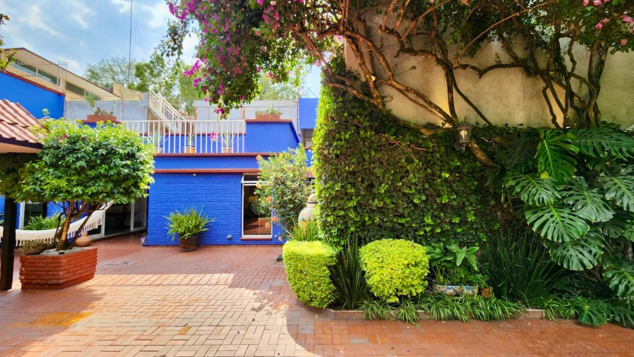 Casa Tamayo Mexikóváros Kültér fotó